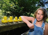 Dogs, ducks stars of Radford Park fun