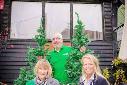 Pupils take on festive tree decorating challenge