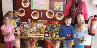 Little cherubs present bumper harvest