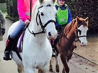 Horse riders saddle up for safety push