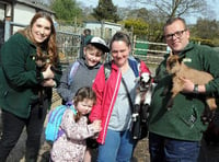 Spring arrivals at Birdworld