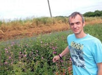 Environmental chaos after farm fertiliser tank attack