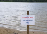 Toxic algae closes Frensham Great Pond