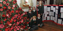 Pupils producing poppies with pride