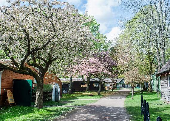 National Lottery comes to rescue of Covid-19 and burglary-hit Rural Life Centre