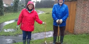 Generous donation of memorial tree means vandals don’t get the last word