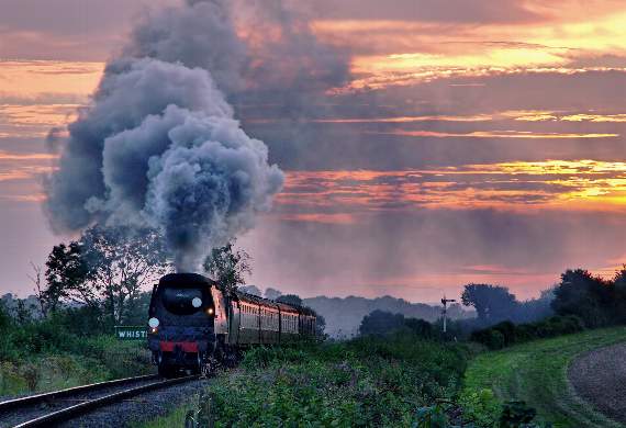 All aboard the Watercress Line: Celebrating 50 years this half-term!