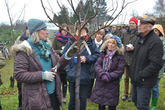 Wassailing in the orchard returns to Petersfield this weekend 