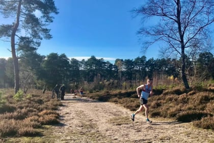 Runners are in the running for cross-country honours