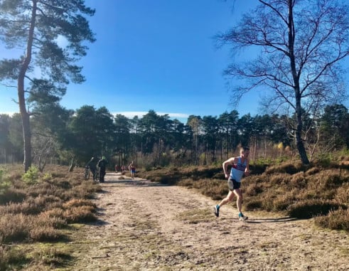 Runners are in the running for cross-country honours