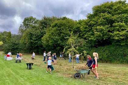 Buriton villagers pull together to help wildflowers thrive