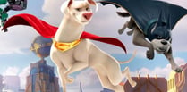 Superman and super dog fight crime in film showing in Bordon