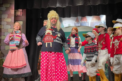 Panto review: CADS deliver the mother of all Mother Geese in Churt