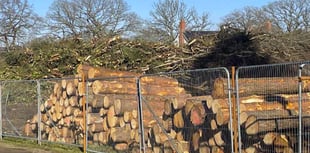 Trees felled to make way for 350 houses in Bordon