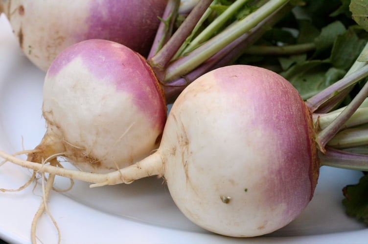 Turnips