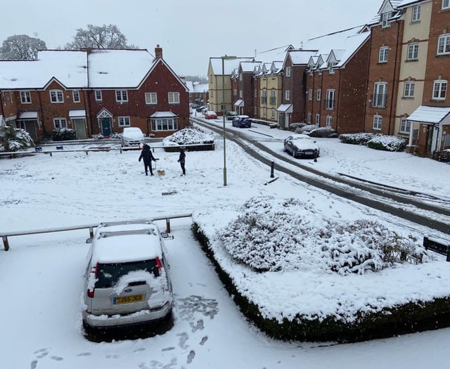 Snow causes disruption and chaos across Surrey and Hampshire