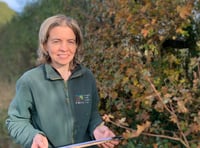 Wildlife-friendly farming in Selborne inspired by Gilbert White