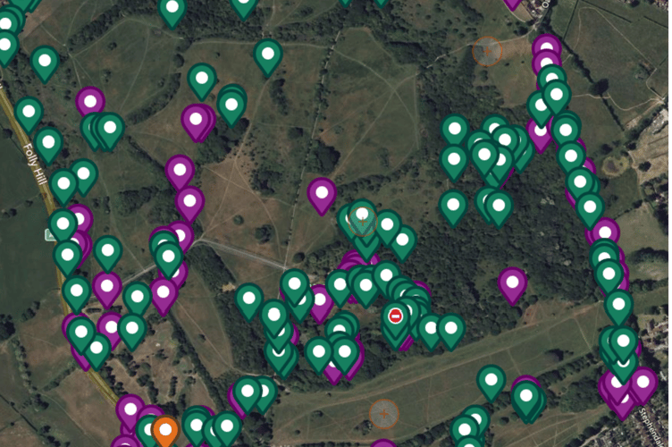 Veteran trees in Farnham Park, as mapped by the Woodland Trust