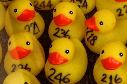 Farnham Duck Race: All you need to know ahead of this Saturday's event