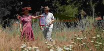 Haslemere's orchards are blossoming – but how are our butterflies?