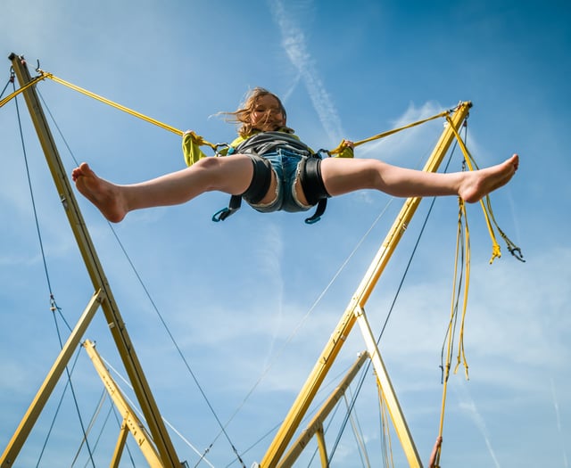 Gallery: Families enjoy all the fun of the Rowledge Village Fayre!