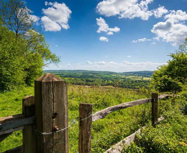 Jeremy Hunt: Could the Surrey Hills become UK's next national park?