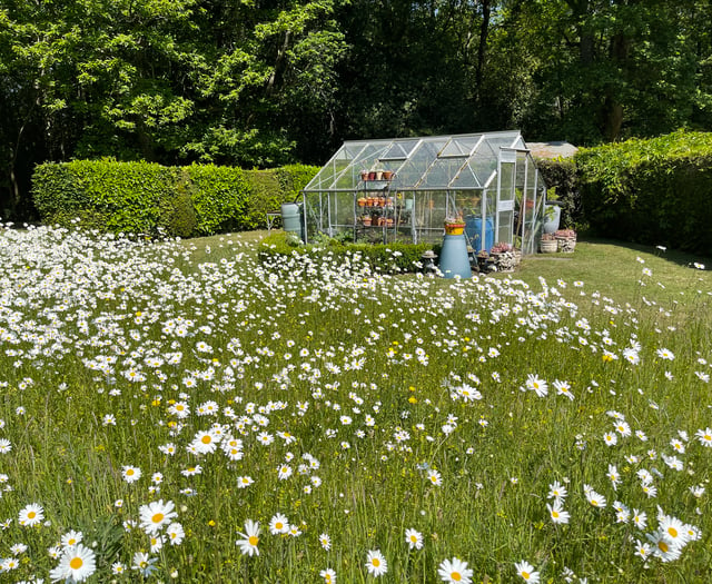 Headley Open Gardens to return this weekend – treasure hunt included!