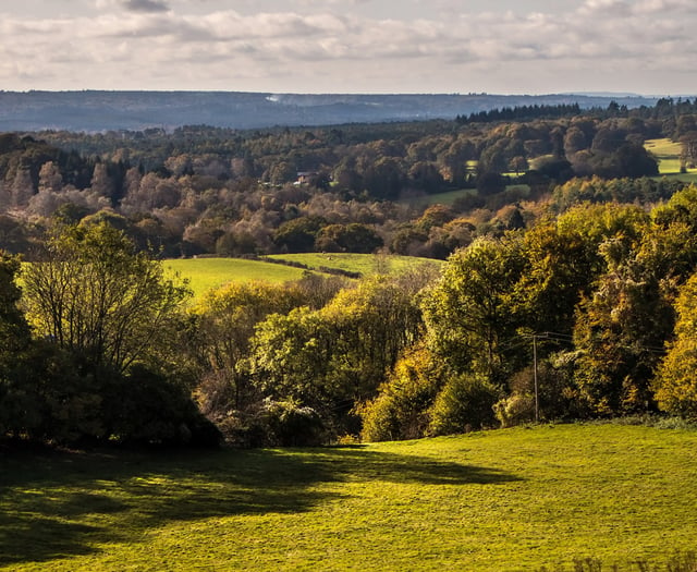 Run (or walk) at the Hampton Estate this weekend for Phyllis Tuckwell