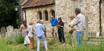 Busy bees: Hampshire county and environmental group help pollinators