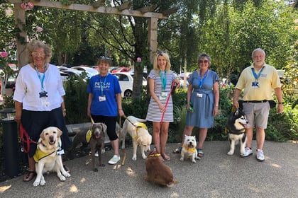 Pets as Therapy dogs win national top spot for their volunteering