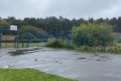 Have your say on £250,000 spending Woodlands Hall recreational ground