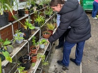 Phyllis Tuckwell Hospice's last plant sale holds special memories