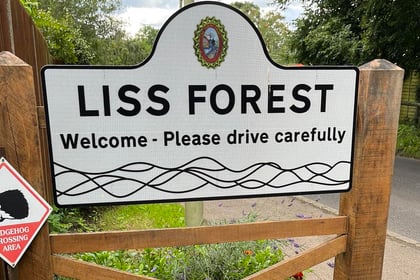 Forecast for Bank Holiday fun in Liss Forest