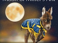 Story of stolen Miller's Ark donkey foal Moon turned into picture book