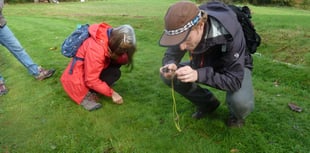 Haslemere Museum celebrates National Moss Day this October