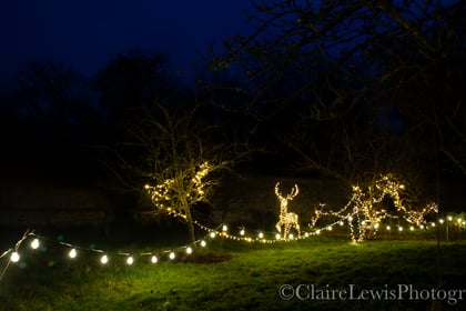 Twinkling festive fun awaits at Chawton House this Christmas