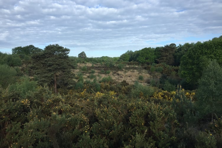 Yateley Common - close to the airport. See National story NNcommon; A defiant campaigner has won his battle with a former World War Two air base to protect the common land it sits on. RAF Hartfordbridge, which was home to D-Day bombers, was built on Yateley Common in Hampshire which has been common land since the 13th century. When the plot was de-requisitioned in 1960, war hero Air Vice Marshal Donald Bennett, leader of the famed "Pathfinder Force," bought it up and reopened the site as a private airfield. It has remained in private hands since but recently the current owners got its common land status revoked, giving them the right to expand the airport.