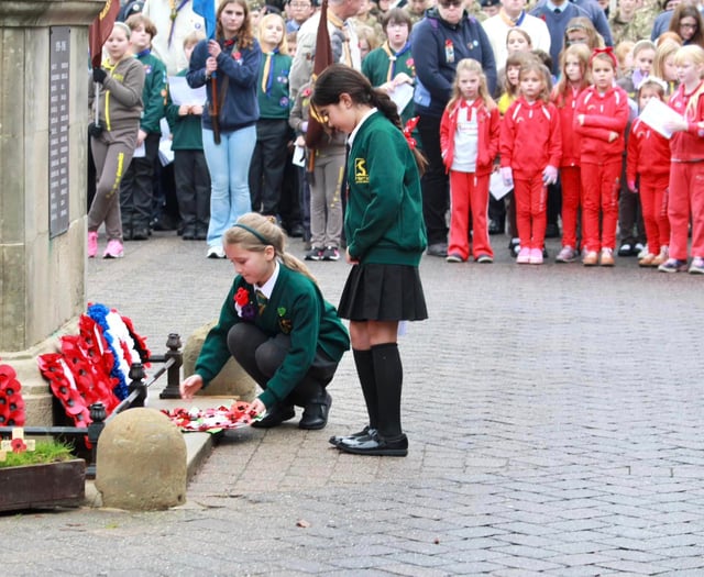 Royal British Legion thank you as Petersfield Poppy Appeal raised £30k