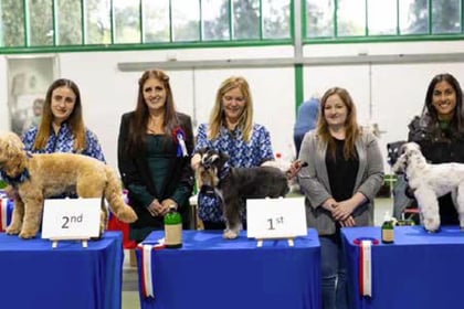 Petersfield dog groomers Bentley’s wins big at competition