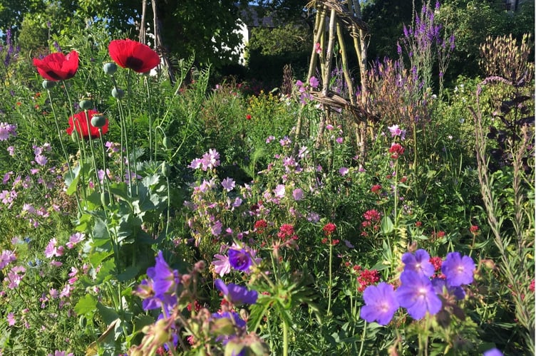 Gilbert White's blooming great garden