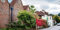 Haslemere museum to host The Twitchers half-term family wildlife trail