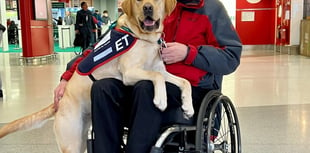 Walkies in the Midlands: Hounds for Heroes heading back to Crufts