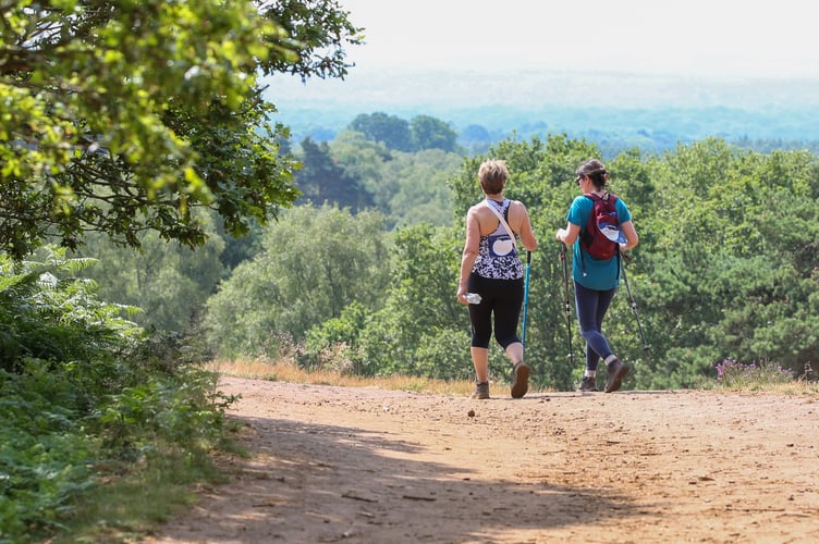 Phyllis Tuckwell's sponsored Walk for the Wards will take place on the Hampton Estate on Father’s Day – Sunday, June 16 – alongside the charity’s new Run for the Wards event