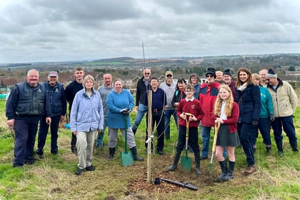 Hawthorn Community Orchard planted in Alton to honour King Charles III