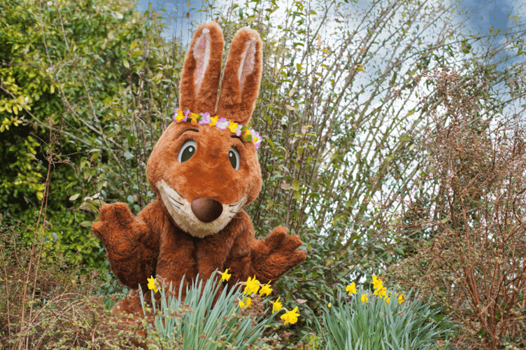 Can you crack the case surrounding a mischievous egg thief at Marwell Zoo?