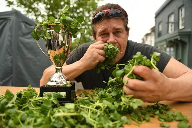 Bid to break watercress eating world record