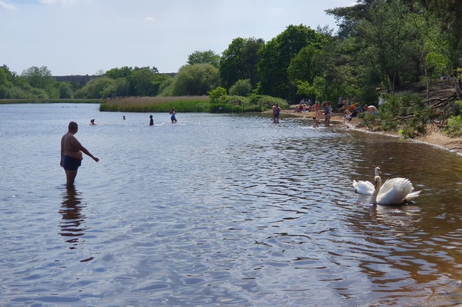 Frensham Little Pond Bathing May 2023