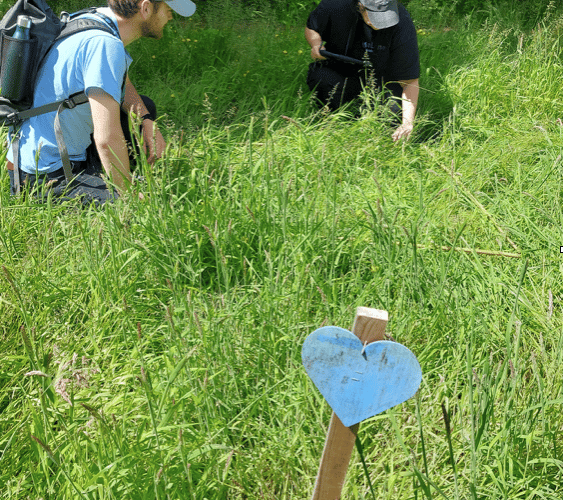 Baseline biodiversity survey on Churt Road verge (aLyne Ecology Ltd)