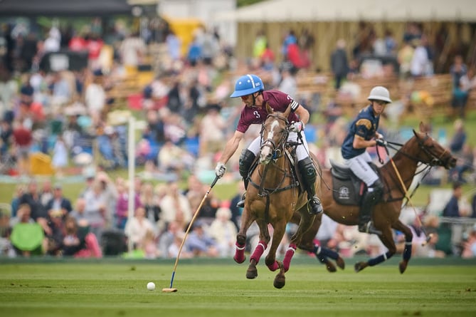 Polo at the Midhurst Town Cup