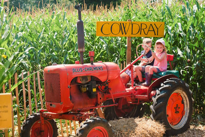 Cowdray’s Maize Maze: A must-visit summer attraction